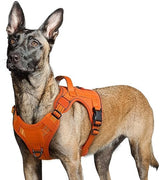 rabbitgoo Tactical Dog Harness for Large Dogs, No Pull Military Service Vest with Handle & Molle, Easy Control for Training Walking, Adjustable Reflective Straps, Orange, L