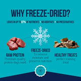 Stewart Single Ingredient Freeze Dried Raw Dog Treats, Beef Liver, 8 Ounce Resealable Pouch, Training Treats or Meal Topper for All Size Dogs, High Protein, Grain-Free, Gluten-Free