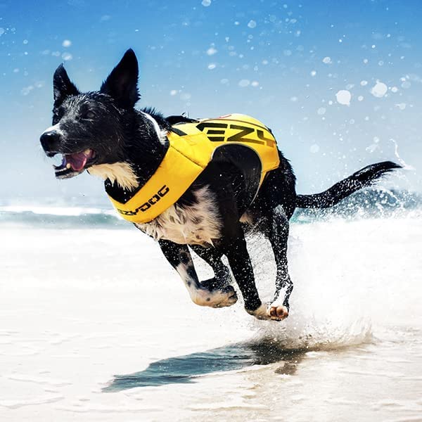 EzyDog DFD X2 Dog Life Jacket - Adjustable Swimming Safety Life Vest Preserver with Continuous Neck Flotation, Reflective Trim, & Grab Handle (3XS, Pink)