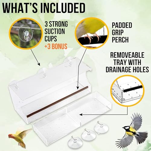 Window Bird Feeder with Strong Suction Cups, (2024) Bird House Window - Squirrel Proof Enhanced Suction, Bird Watching for Cats, Elderly - Clear Bird Feeders for Window Viewing-Bird Feeder Window Tray
