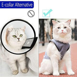 Cat Surgery Recovery Suit Cat Onesie for Cats After Surgery Spay Surgical Abdominal Wound Skin Diseases E-Collar Alternative Wear (Grey-Blue-M)