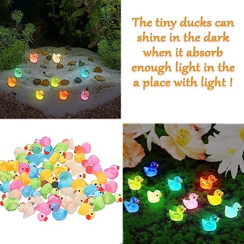 220 Pcs Mini Resin Ducks Luminous Tiny Ducks Miniature Duck Glow in The Dark for DIY Garden Dollhouse Duck Accessories Micro Landscape Aquarium Party Decor
