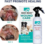 Forticept Blue Butter – Hot Spot Treatment for Dogs | Dog Wound Care | Skin Yeast Infections, Ringworm, Cuts, Rashes, First Aid Veterinary Strength Topical Ointment 4oz