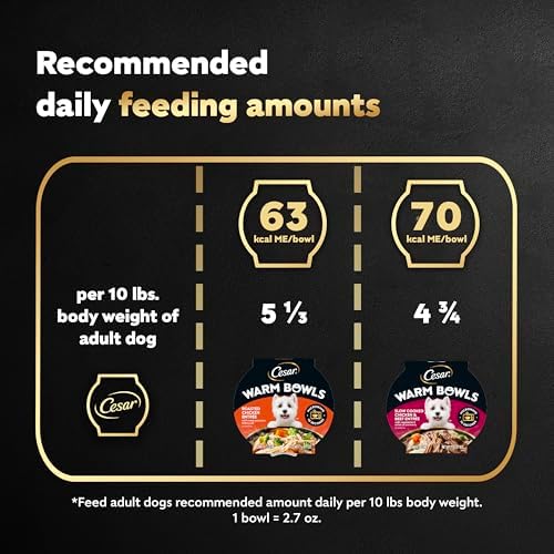 Cesar Warm Bowls Wet Dog Food Variety Pack: Chicken & Beef; and Chicken Entrées, 6 Trays