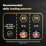 Cesar Warm Bowls Wet Dog Food Variety Pack: Chicken & Beef; and Chicken Entrées, 6 Trays