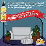 Bodhi Dog No More Scratching! Cat Deterrent Spray - Indoor & Outdoor Repellent with Essential Oils - Prevent Scratch for Furniture - Made in USA (8 oz)