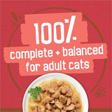 Purina Friskies Extra Gravy Wet Cat Food Chunky With Beef in Savory Gravy - (Pack of 24) 5.5 oz. Cans
