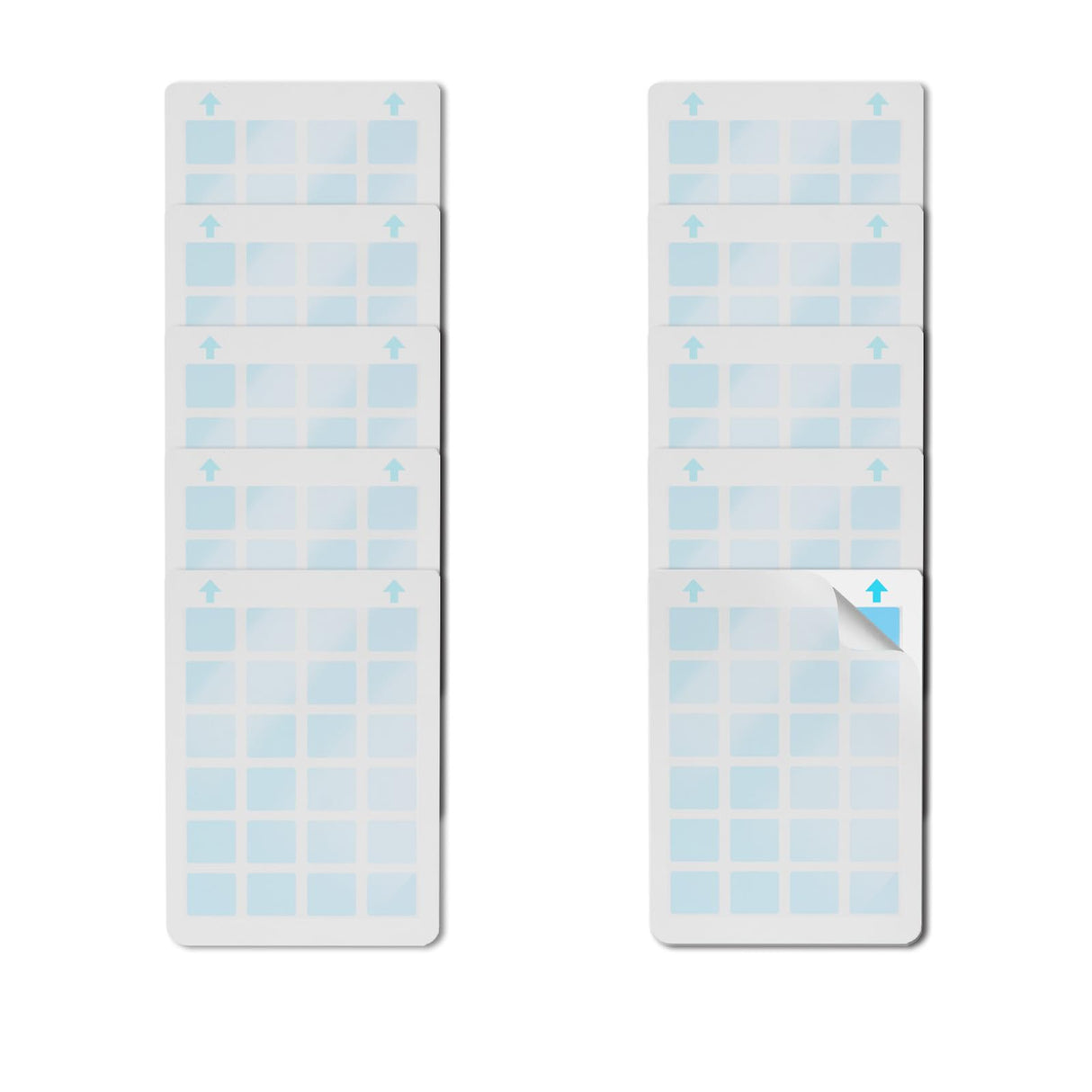 Carmelie Refills Glue Boards for Indoor Fly Trap, Flying Insect Trap, Insect Catcher, Fruit Fly Traps for Indoors, for Gnat, Fruit Files, Bugs, Mosquitoes Killer, Pack of 10