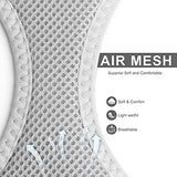 Fida Comfy Dog Harness with Leash, Soft Puppy Vest Escape Proof, Breathable Lightweight Soft Mesh, Adjustable Reflective Step-in Harness for Cat & Extra-Small Pet (XS, Grey)