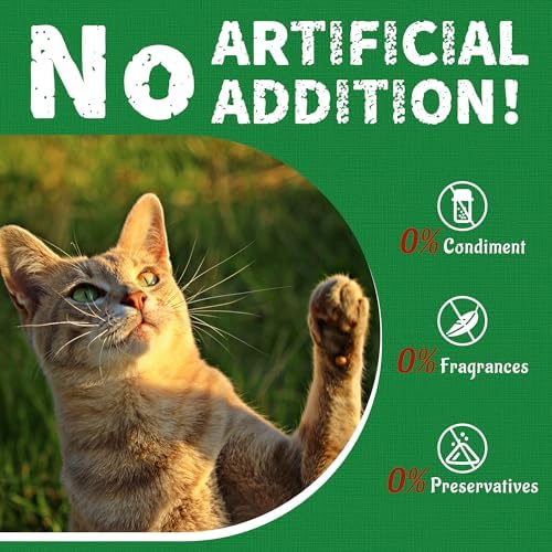 13.4 OZ Cat Grass Treats Natural Salmon Flavor Healthy Cat Snacks Training Biscuits Catnip for Cats Dental and Hairball Control Treats
