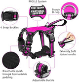 WINSEE Pet Harness Collar and Leash Set, All-in-one Reflective Dog Harness No Pull with Adjustable Buckles for Puppies, Small, Medium, Large, and Extra-Large Dogs (Medium, Rosy)