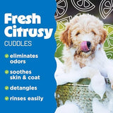 TropiClean Deshedding Dog Conditioner, Cat, Puppy & Kitten Safe, Reduces & Softens Coat, Lime & Coconut Scent, Made in the USA, 1 gallon