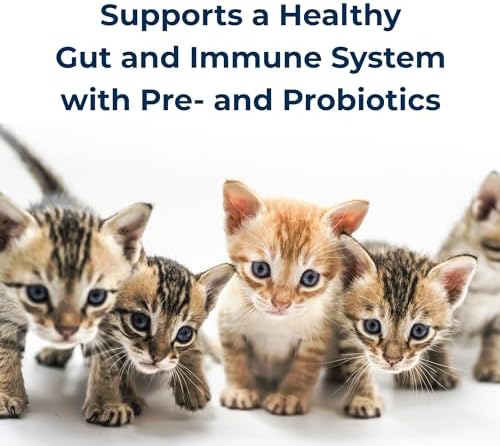 PetAg KMR Kitten Milk Replacer Powder - 6 oz - Powdered Kitten Formula with Prebiotics, Probiotics & Vitamins for Kittens Newborn to Six Weeks Old - Easy to Digest