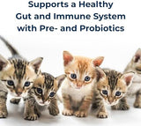 PetAg KMR Kitten Milk Replacer Powder - 6 oz - Powdered Kitten Formula with Prebiotics, Probiotics & Vitamins for Kittens Newborn to Six Weeks Old - Easy to Digest