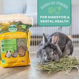 Oxbow Animal Health Orchard Grass Hay - All Natural Grass Hay for Chinchillas, Rabbits, Guinea Pigs, Hamsters & Gerbils - 25 lb.