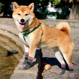EXPAWLORER Anti-Slip Dog Socks to Prevent Licking Paws,Dog Shoes for Hot/Cold Pavement,Best Paw Protector Traction Control on Hardwood Floor,Dog Booties for Puppy Small Medium Large Senior Dogs