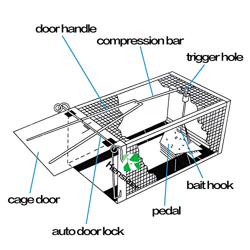 Kensizer 2-Pack Animal Humane Live Cage Trap That Work for Rat Mouse Chipmunk Mice Voles Hamsters and Other Small Rodents, Trampa para Ratones, Catch and Release
