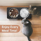 Elevated Cat Bowls, 15° Tilted Raised Cat Food Bowls Wood Pet Bowls with Stand Anti Vomiting 2 Stainless Steel Bowls for Cats and Puppy