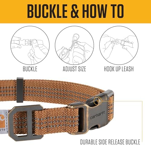 Carhartt Fully Adjustable Nylon Webbing Collars for Dogs, Reflective Stitching for Visibility, Light Moss (Nylon Webbing), Large