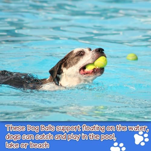 6PC Squeaky Dog Balls - Tennis Balls for Dogs,2.5''
