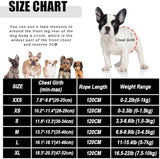 FEimaX Dog Harness and Leash Set for Walking, Soft Mesh Adjustable Easy Control Lightweight Cat Vest Harnesses with Reflective Strips, Escape Proof Small Dogs Cats Vests (Cowblack, Large)