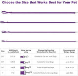 AMAGOOD 6 FT Puppy/Dog Leash, Strong and Durable Traditional Style Leash with Easy to Use Collar Hook,Dog Lead Great for Small and Medium and Large Dog (5/8 in x 6 ft, Black and Purple(2-Pack))