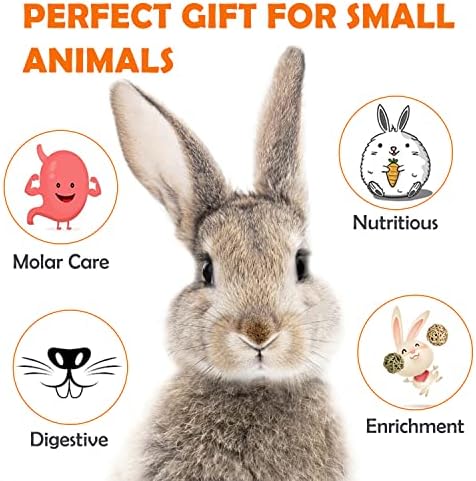Sofier 28Pcs Timothy Hay Treats Rabbit Toys Bunny Toys Guinea Pig Toys Natural Handmade Treats and Chews for Small Animals Hamster Chinchilla Rat Gerbil
