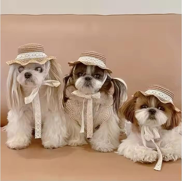 Pet Straw Sun Hat - Lace - Trimmed Summer Beach Hat with Bow, Adjustable Sun Protection Cap for Small Dogs & Cats (Size S, Beige)