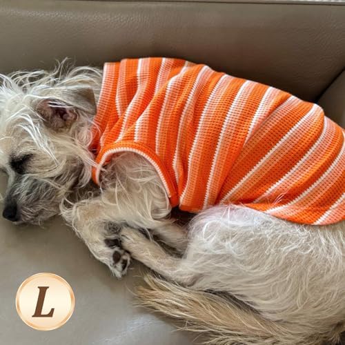 KYEESE 2Pack Waffle Dog Shirts for Small Dogs Stretchy Dog T-Shirts Lightweight Dog Tank Top Sleeveless Striped Dog Shirt Vest Breathable Cat Shirt, Large, Orange+Striped