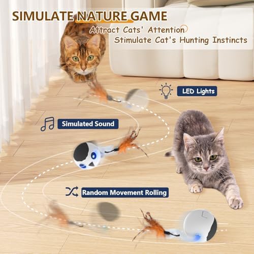 ORSDA Cat Toys, Interactive Cat Toy Ball for Indoor Bored Indoor Cats Kitten Toys, Automatic Electric Bird Moving Ball Toy, 4 Mode Touch & Sound Control Rolling Chirping Stimulating, 2 Feather Tails