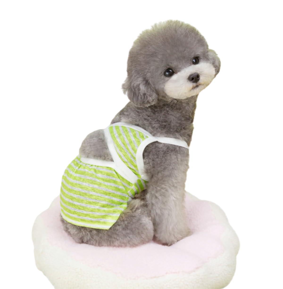Generic Summer Dog Bikini Swimsuit Dog Swimsuit Dog Bikini Dress Dogs Bathing Suits Beach Clothes Dog Beach Swimsuit Pet Skirts Dog Clothes for Cat Costume Dog Tutu Dresses Green XS