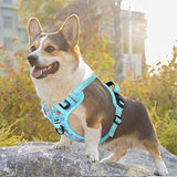 Timos No Pull Dog Harness,NO Need Go Over Dogs Head 3 Snap Buckles Reflective Oxford No Choke Puppy Harness with Front & Back 2 Metal Leash Clips Soft Padded Vest Harnesses for Small Medium Large Dogs