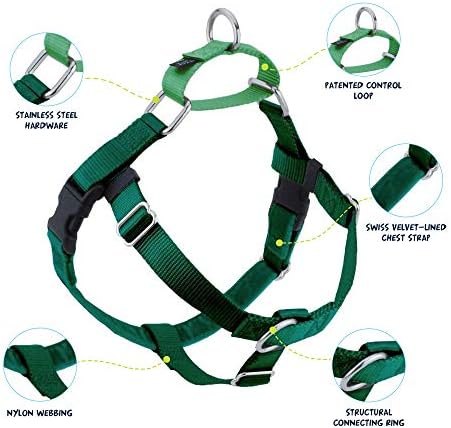 2 Hounds Design Freedom No Pull Dog Harness, Adjustable Harness and Leash Set, Easy Walking & Comfortable Control, Fits Small, Medium & Large Dogs, Solid Colors, Made in USA, 1" MD, Kelly Green