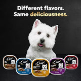 CESAR Adult Wet Dog Food Classic Loaf in Sauce Turkey Recipe, 3.5 oz. Easy Peel Trays, Pack of 24