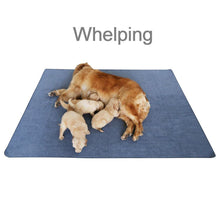 Load image into Gallery viewer, Peepeego Non-Slip Dog Pads Extra Large 72" x 72", Washable Puppy Pads with Fast Absorbent, Reusable, Waterproof for Training, Whelping, Housebreaking, Incontinence, for Playpen
