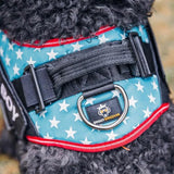 Personalized No-Pull Dog Harness with Name Patch, Padded, Adjustable and Reflective Service Dog Vest, Easy On Dog Harnesses for Medium Large Small Sized Dog Light Blue, M
