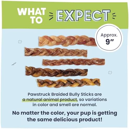 Pawstruck Natural 9” Braided Bully Sticks for Dogs - Tough, Long-Lasting, Rawhide-Free, Low Odor, Healthy Single Ingredient Chew Treat for Aggressive Chewers - 10 Count - Packaging May Vary