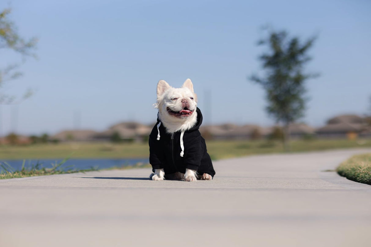 Ellie Dog Wear Zip Up Adventure Dog Hoodie with Hook & Loop Pockets and Adjustable Drawstring Hood - XXS to XXL - Multiple Colors - Comfortable & Versatile Dog Hoodies (Black, XXS)
