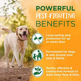 TropiClean Soothing Natural Flea and Tick Dog Shampoo | Natural Flea and Tick Prevention for Dogs | Made in the USA | 1 Gallon