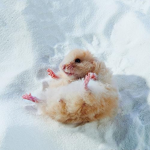 DR.DUDU Hamster Bath Sand, 12lb Dust Free Desert Sand or Potty Litter Sand for Hamster Chinchillas Gerbil Syrian Mice Small Animals (White)