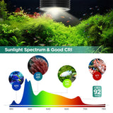 Lominie LED Aquarium Light, Planted Tank Light 4 Channels Remote Control 6500K Aquarium LED Lamp for Freshwater Fish Tank Refugium with Gooseneck (A20 Freshwater)