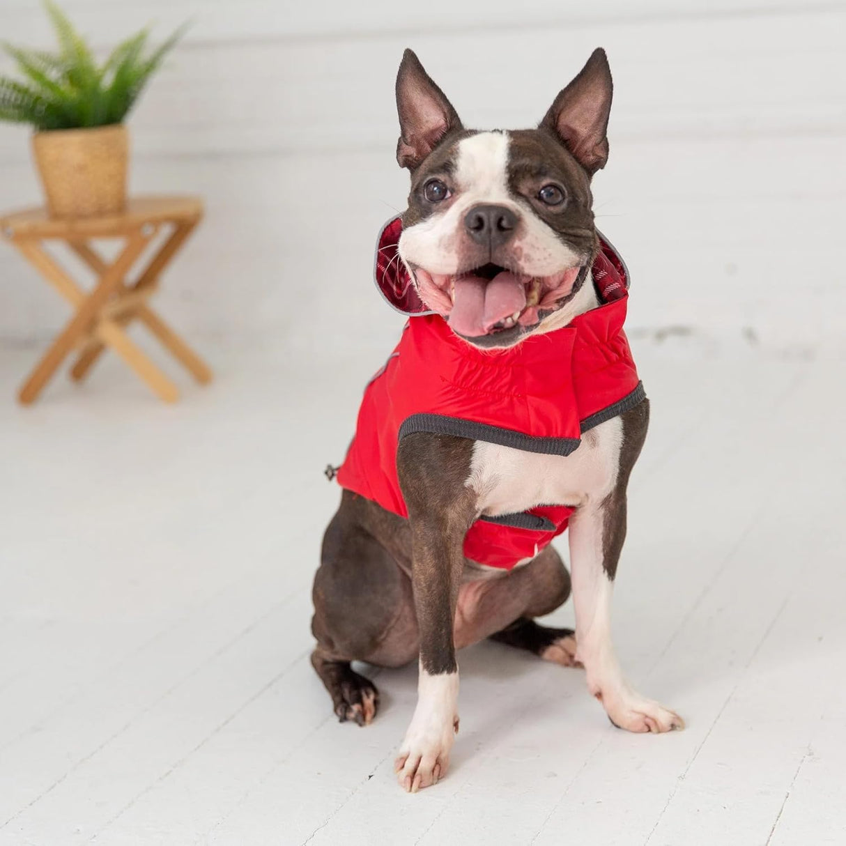 GF PET Reversible Elasto-Fit Raincoat for Dogs - Waterproof Lightweight Pet Rain Jacket - Reflective Safety Design - Comfortable, Easy On & Off - 4XL, Navy