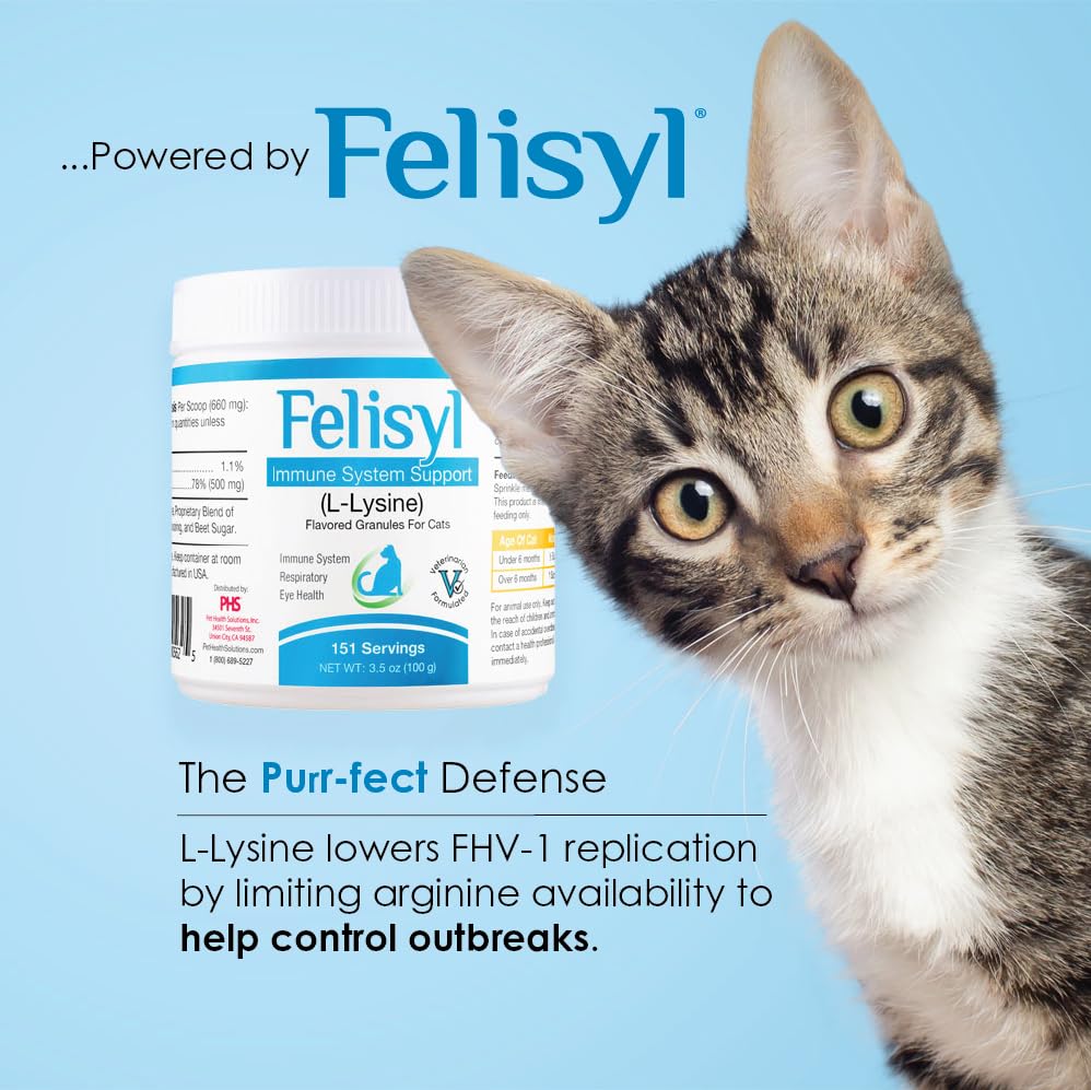 Felisyl L-Lysine Granules for Cats 100g (3.5 oz, 310 Servings) – Supports Immune, Respiratory, and Eye Health. Eases Sneezing, Runny Nose, and Watery Eyes. Tasty Salmon Flavor - Made in The USA