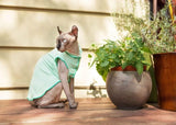 Goldpaw Dog Sun Shirt with UV Protection - Lightweight, Cooling Sun Protection Clothing for Small Dogs - Reduce Heat Absorption - Made in The USA - Machine Washable - Pistachio Green - Size 8