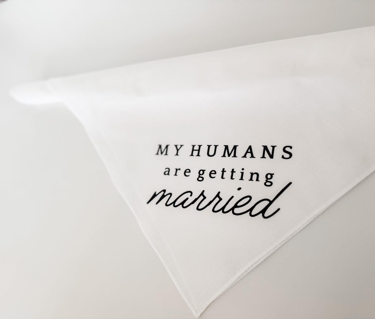 My Humans are Getting Married Engagement Dog Bandana for Photoshoot, Proposal, Wedding, Gift for Newly Engaged Couple, Boho Aesthetic, Natural Beige, Modern Minimalist Design (White, Small)