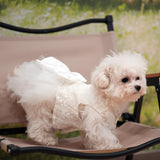 Dog Dress,Pet Wedding Dress Princess Formal Tutu Skirt with Bowknot,Puppy Birthday Party Outfit Apparel Girl for Dogs Cats (White Lace, XX-Large)