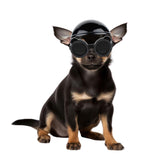 Enjoying Dog Helmets for Extra-Small Dog Breeds, Chihuahua Mixed Helmet and XSmall Goggles, Tiny to Small Dog Helmet Cat Hat with Ear Holes for Outdoor Motorcycing Biking, Adjustable, XS