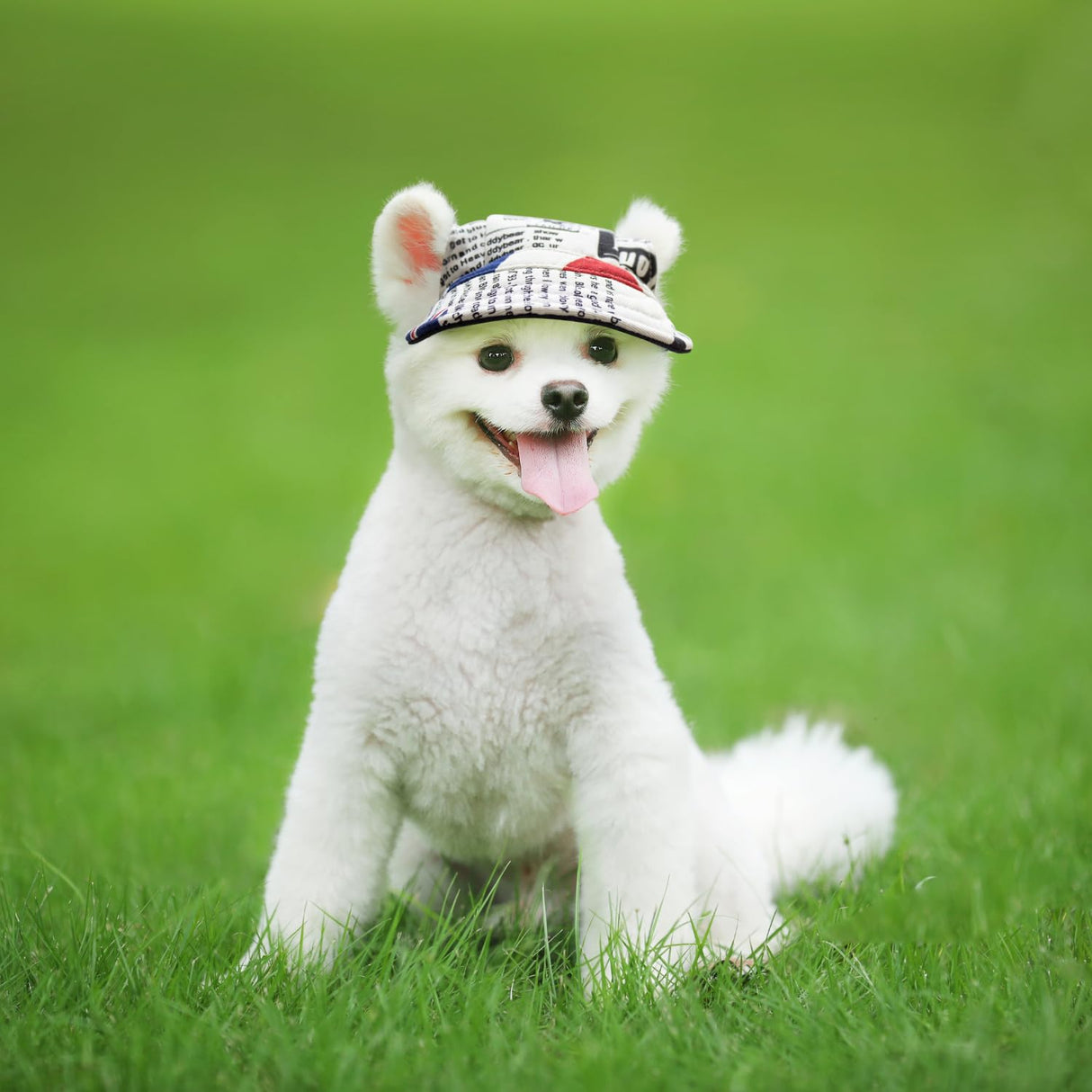 Harikaji Dog Hat,Dog Sunscreen Hat Baseball Cap Outdoor Sports Hat with Ear Holes and Chin Strap Adjustable Hat for Small and Medium Dog (M, British Style)