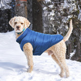 TQFlow Warm Dog Coat, Windproof Dog Jacket Fleece Pet Winter Coats Solid Color Dogs Clothes Cold Weather Pet Jacket Vest Soft Puppy Apparel for Small Medium Dogs Cat (XL, Blue)
