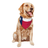 Flag of Texas Triangle Dog Bandana Scarf Accessories for Pet Bibs